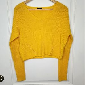 NWOT Wild Fable Crop V- Neck Sweater